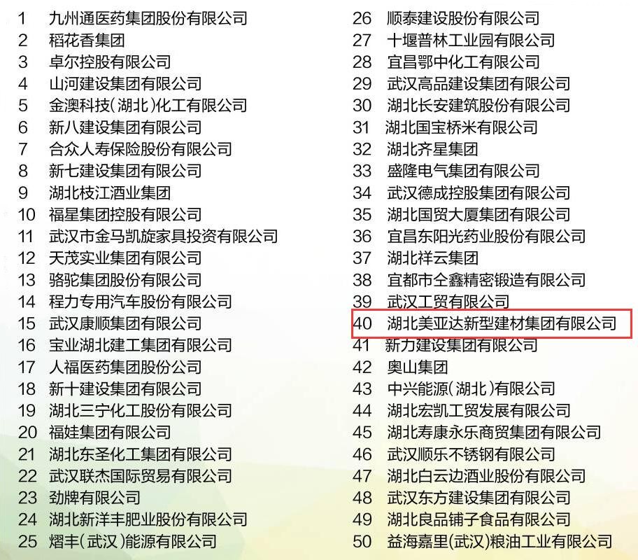 美亚达集团2017年湖北省民企百强榜第40位(图1)